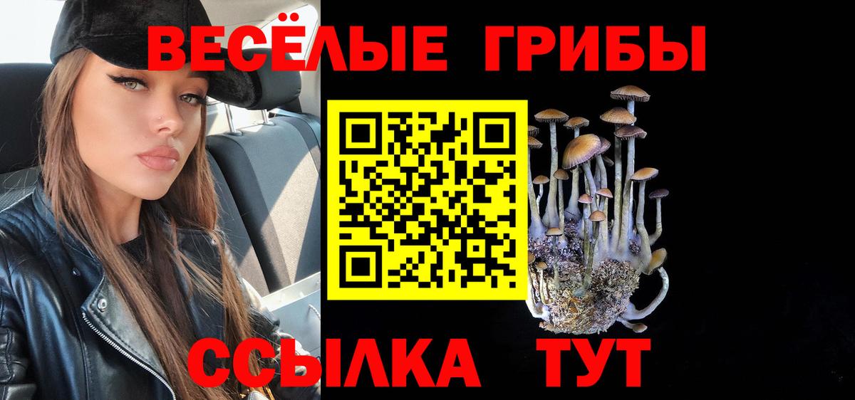 Галлюциногенные грибы мицелий Новошахтинск