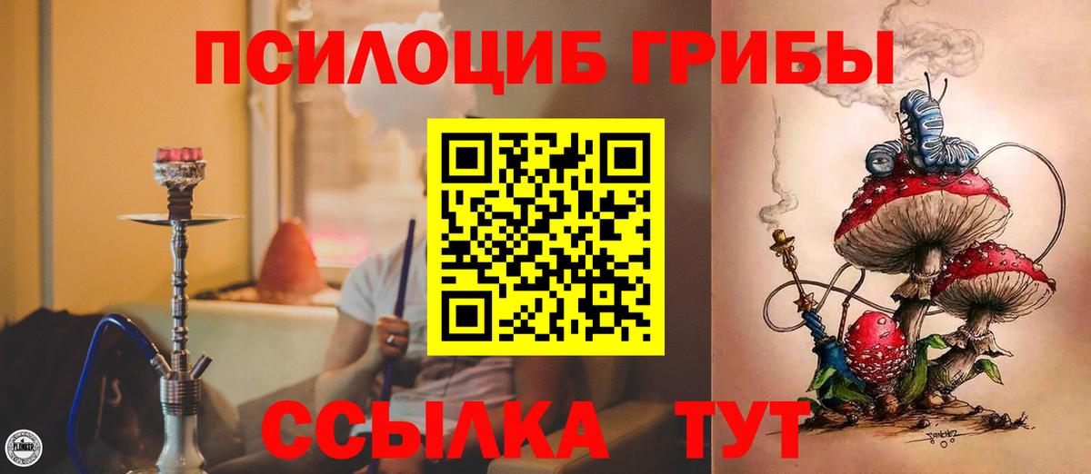 Псилоцибиновые грибы MAGIC MUSHROOMS  Вход с VPN  Новошахтинск 